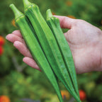 Go Big Okra