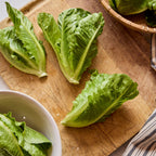 Hamberg Lettuce
