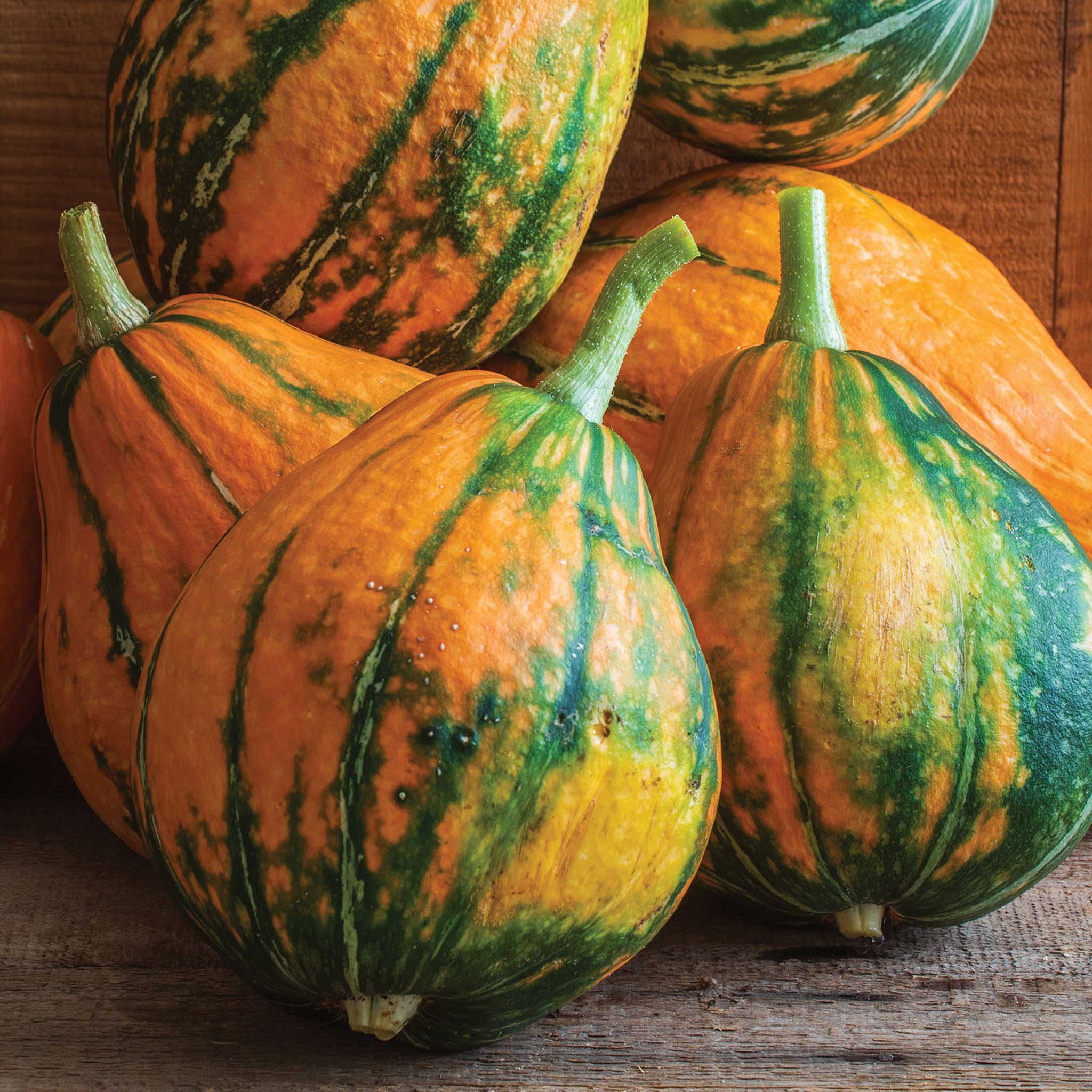Lakota Winter Squash