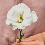 White Rose Lisianthus