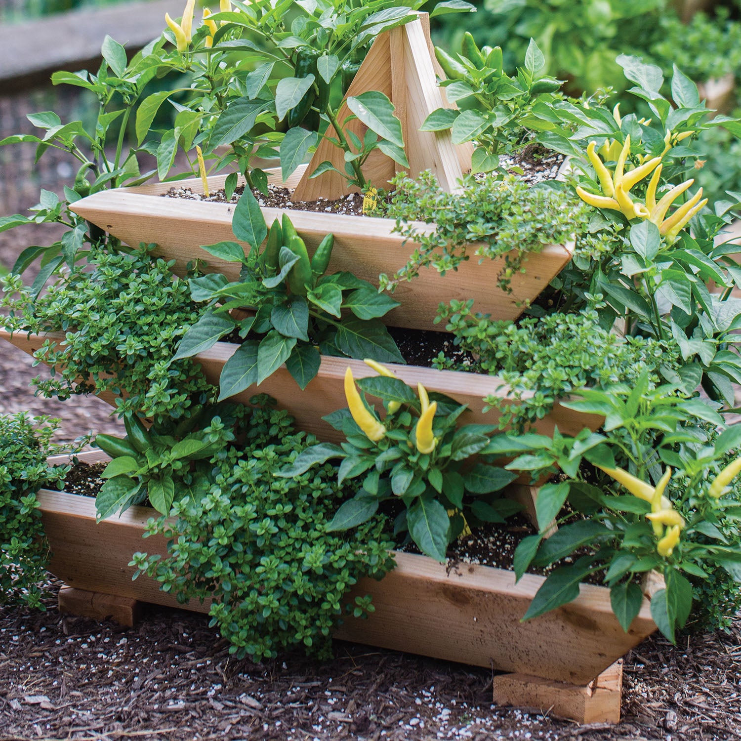 Plant Pyramid Raised Planters