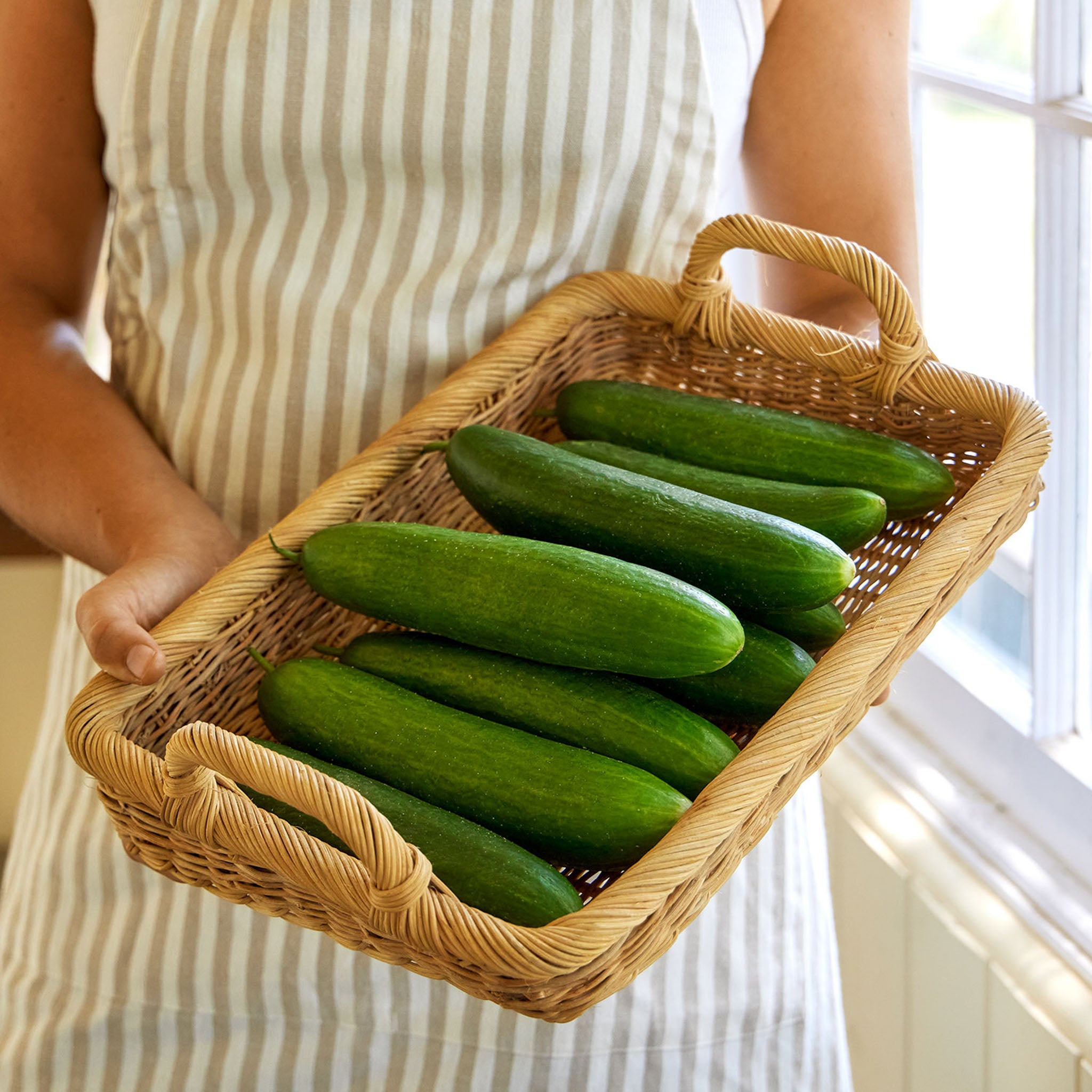 Heyday Cucumber