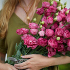Deep Rose Lisianthus