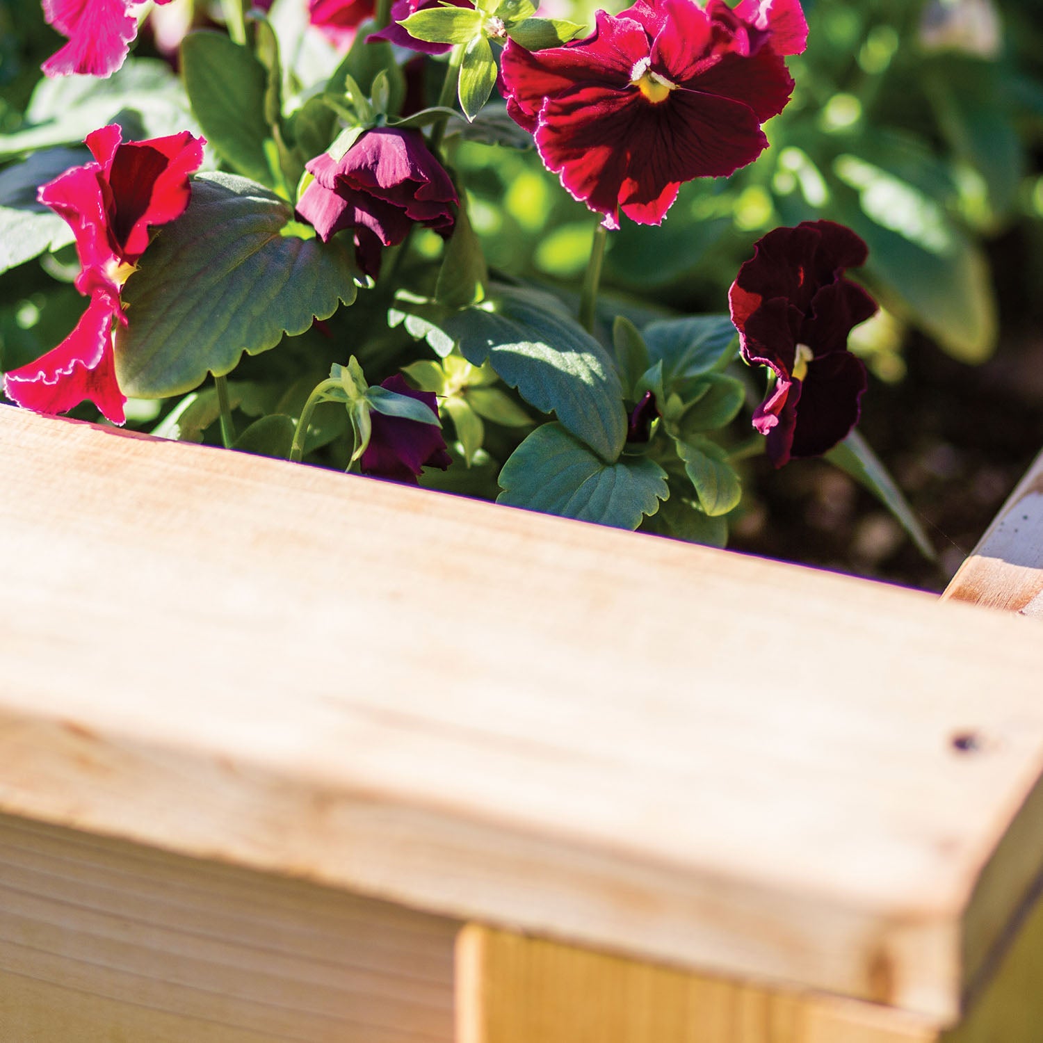 Elevated Planter Box with Shelf