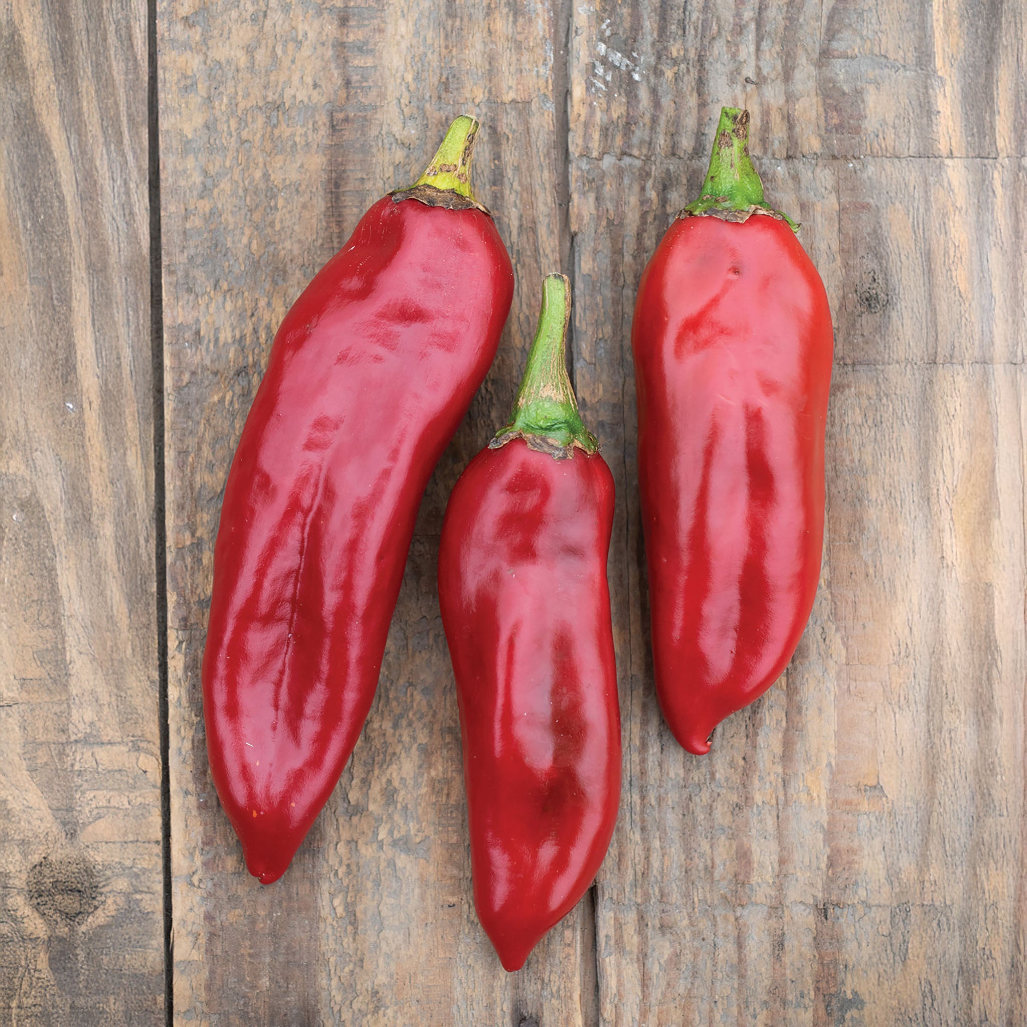 Anaheim Chili Hot Pepper