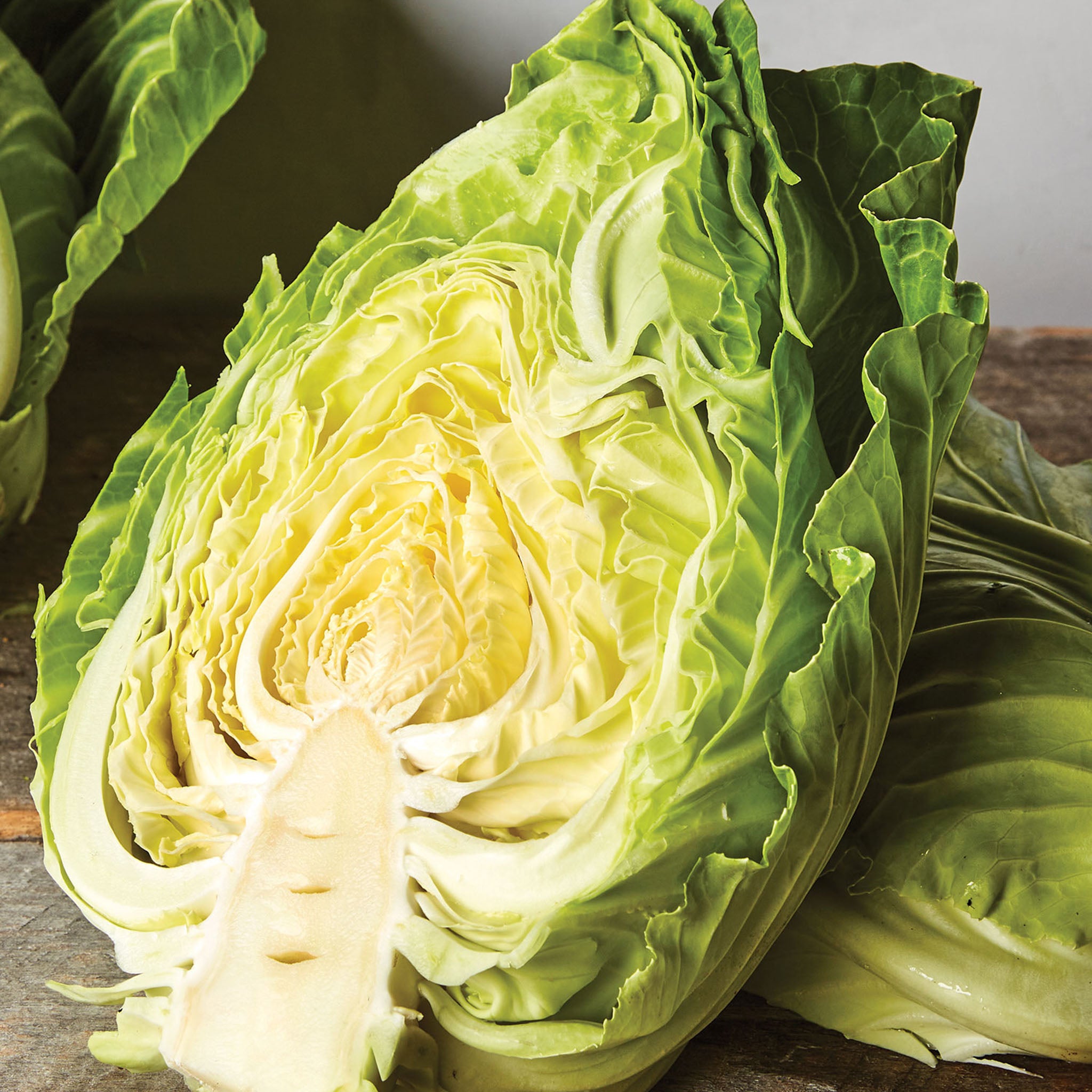 Early Jersey Wakefield Cabbage