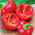 Cherry Stuffer Sweet Pepper
