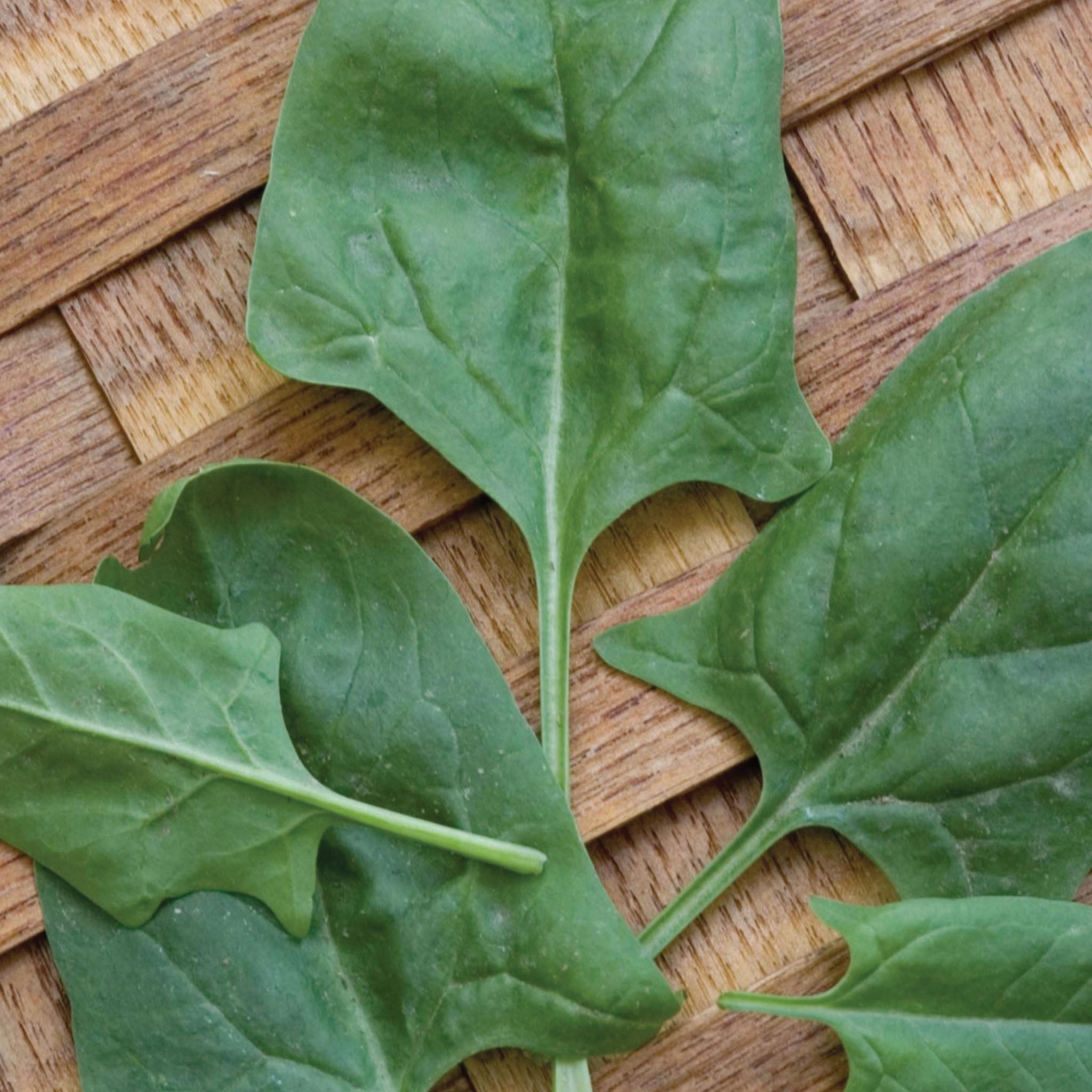 Indian Summer Spinach