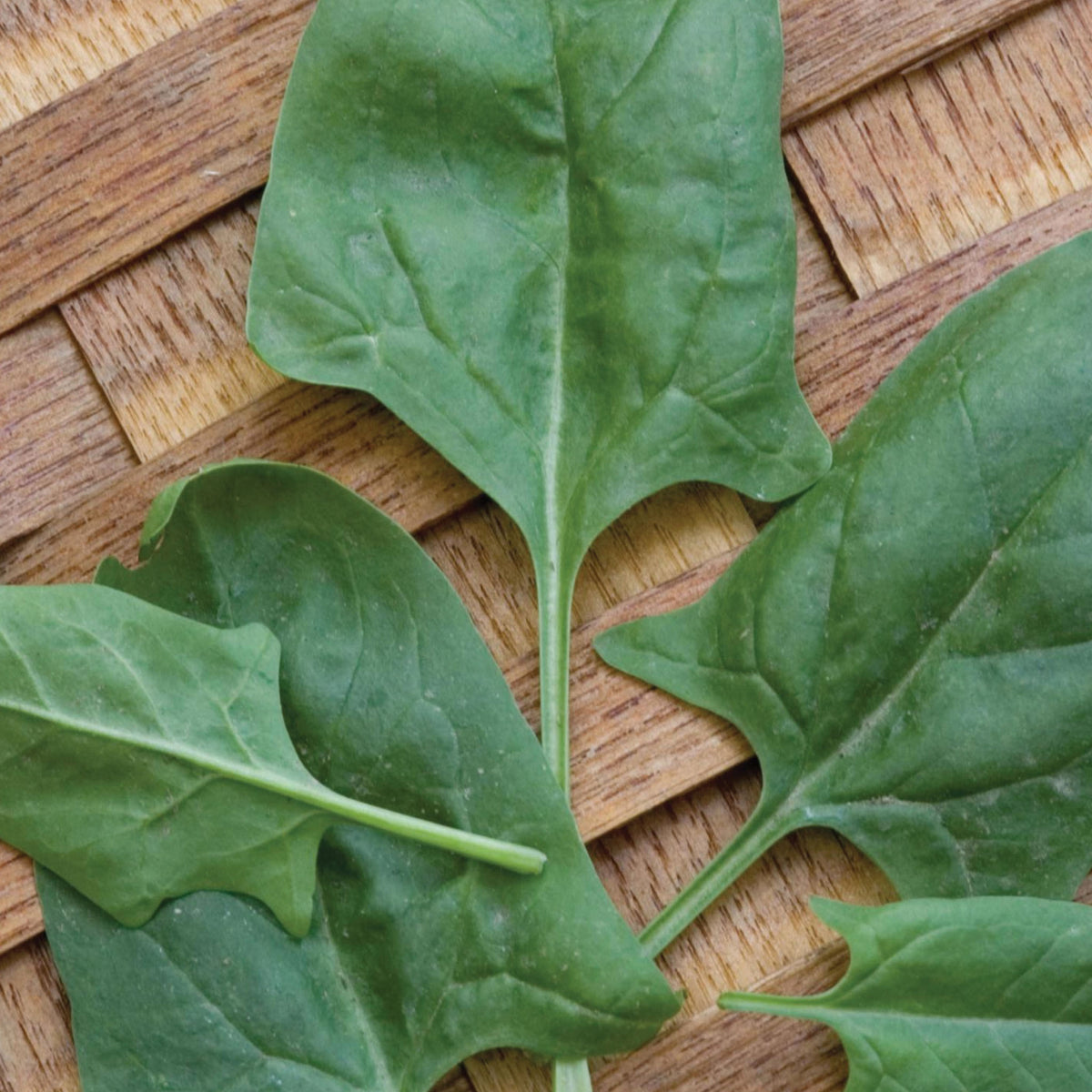 Indian Summer Spinach