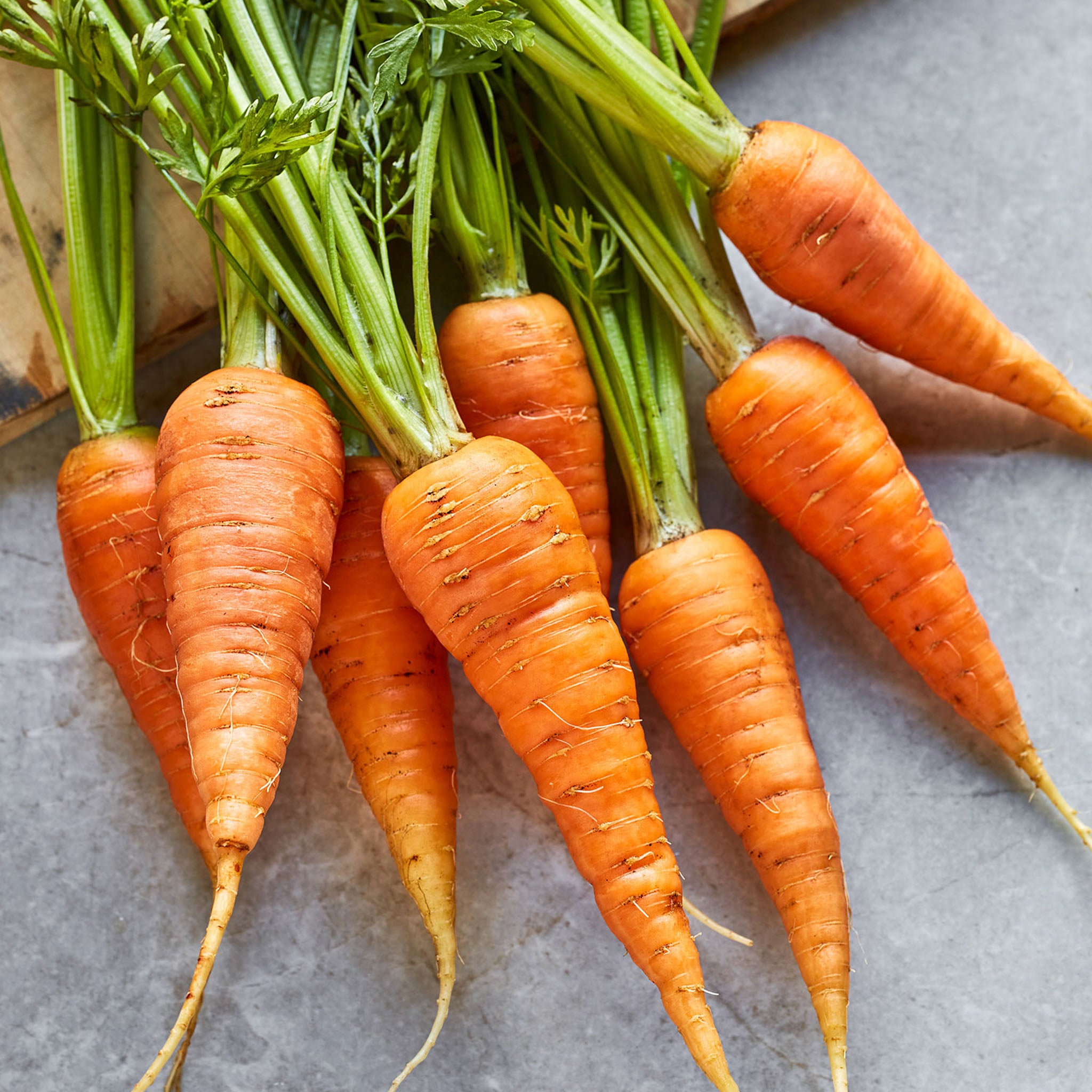 Danvers 126 Carrot