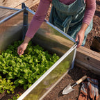 Year-Round Cold-Frame