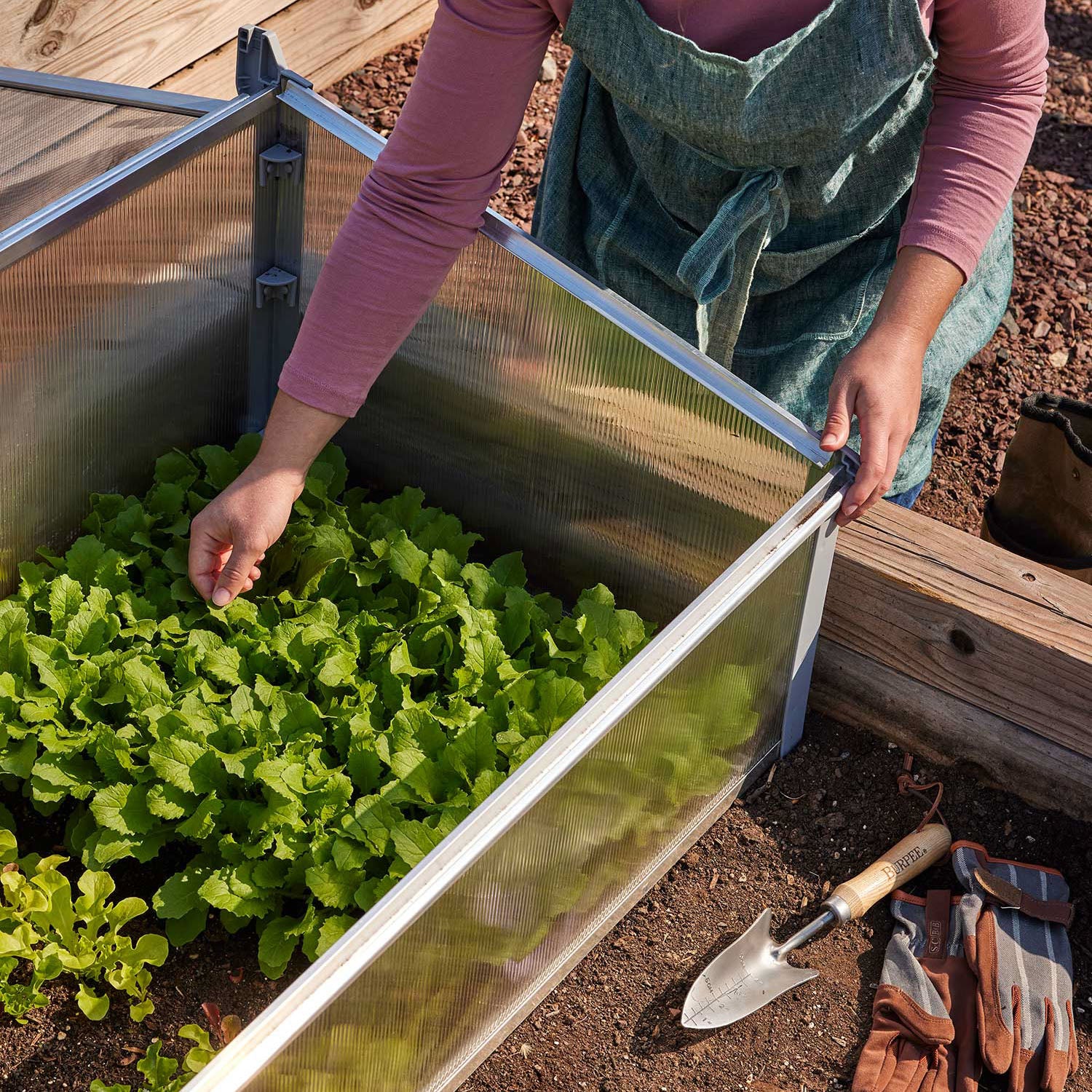 Year-Round Cold-Frame