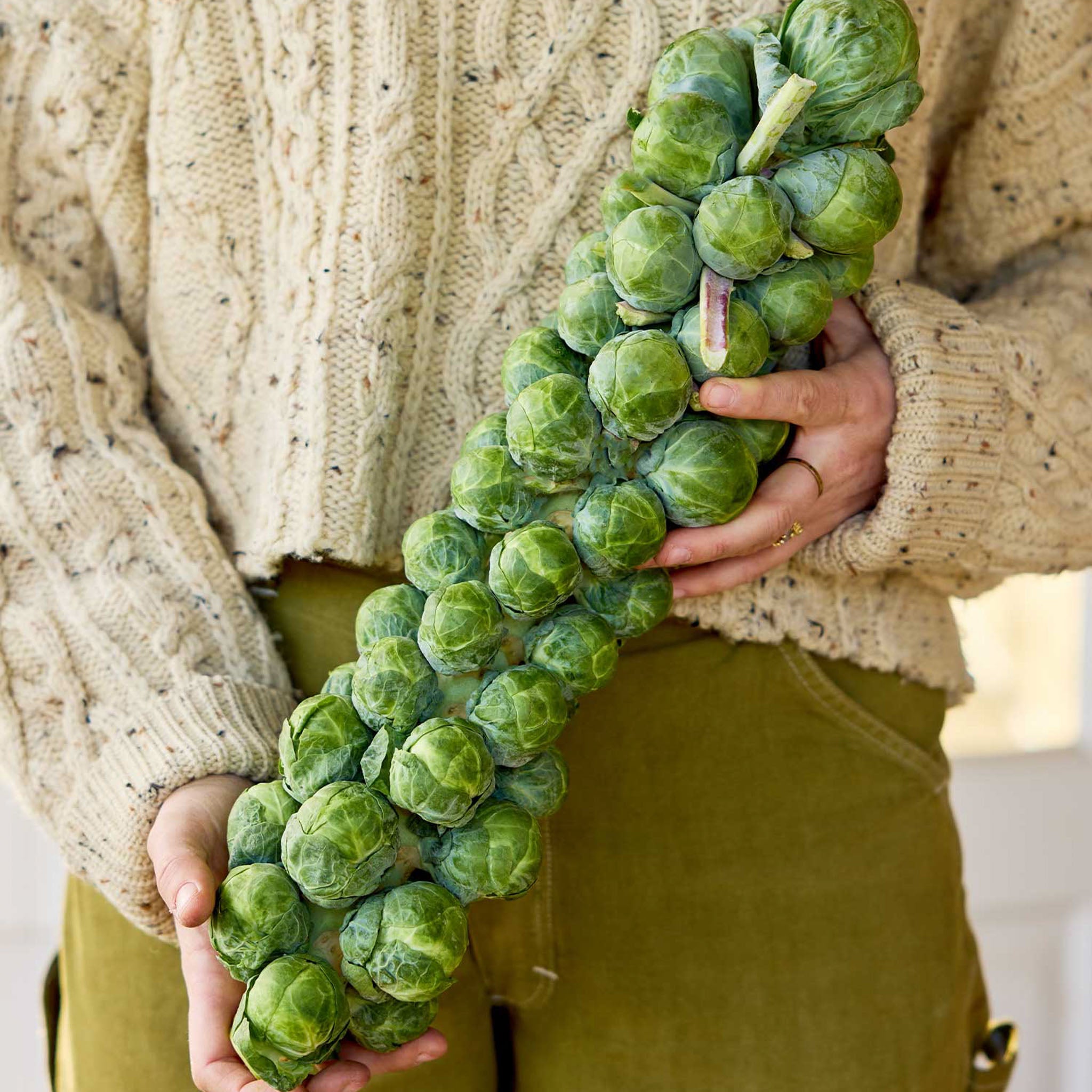 Green Gems Brussels Sprouts