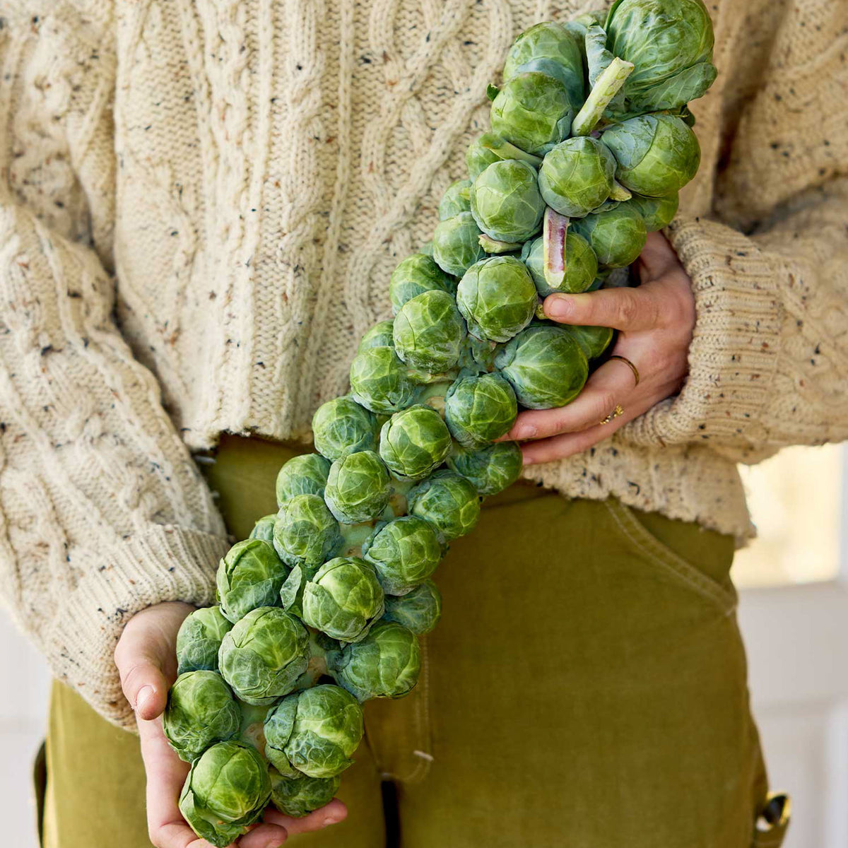 Green Gems Brussels Sprouts