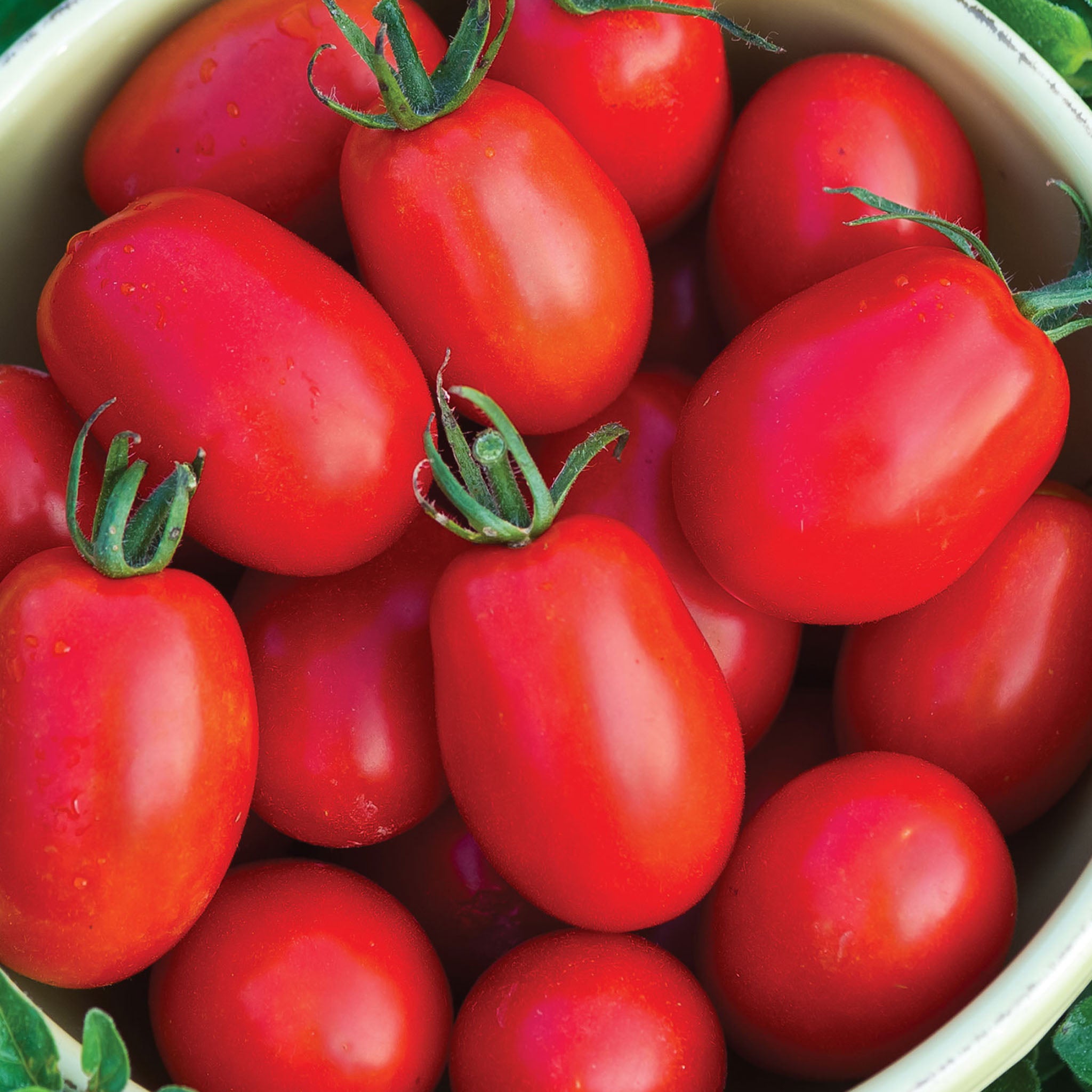 Mighty Sweet Tomato