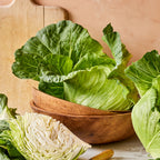 Saku Saku Cabbage