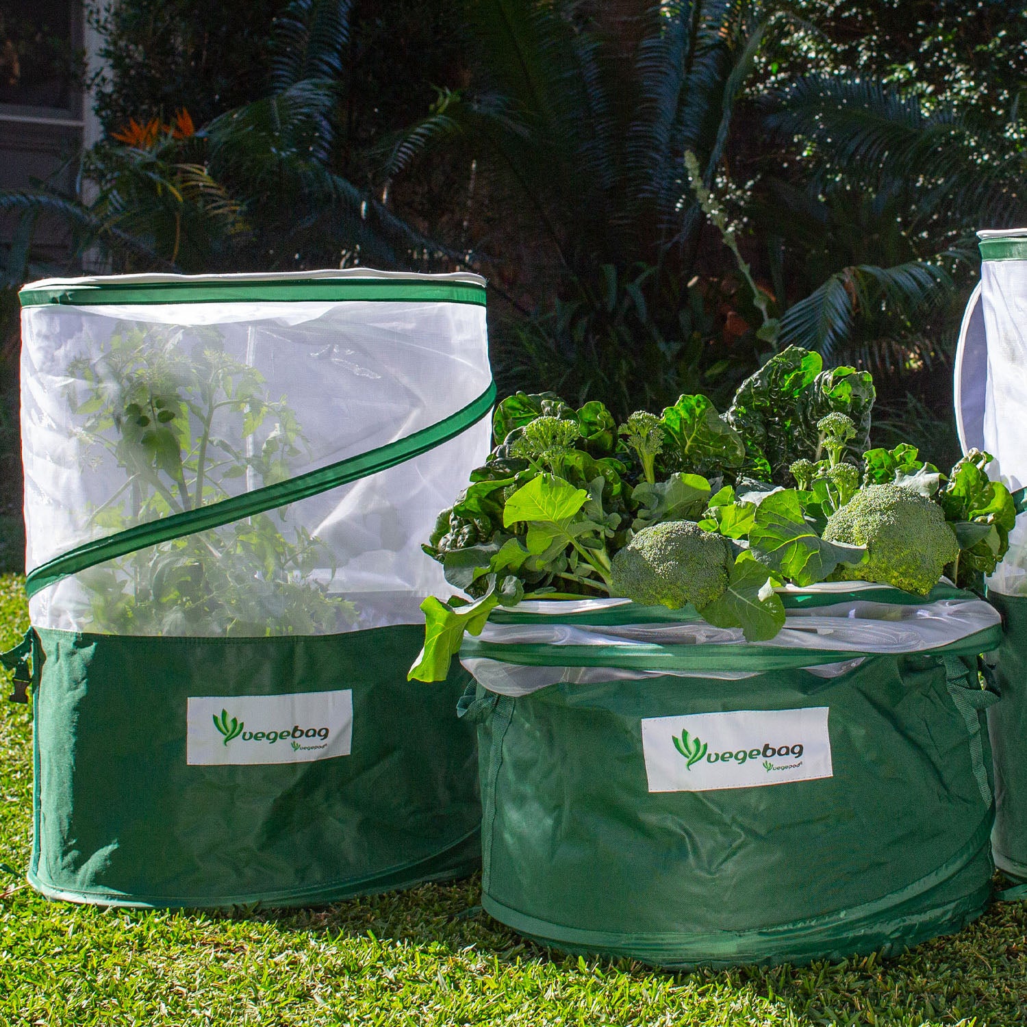 Vegebag