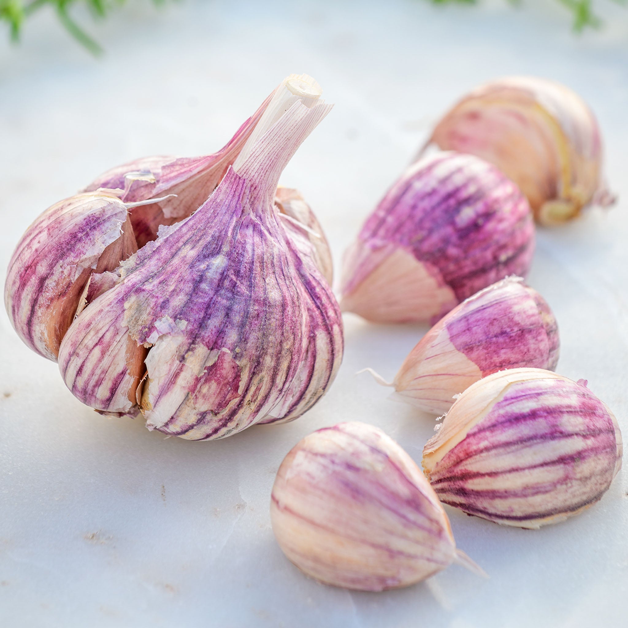 Thai Fire Garlic Bulbs