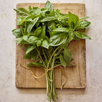 Basil Obsession DMR Herb