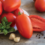 Gladiator Tomato