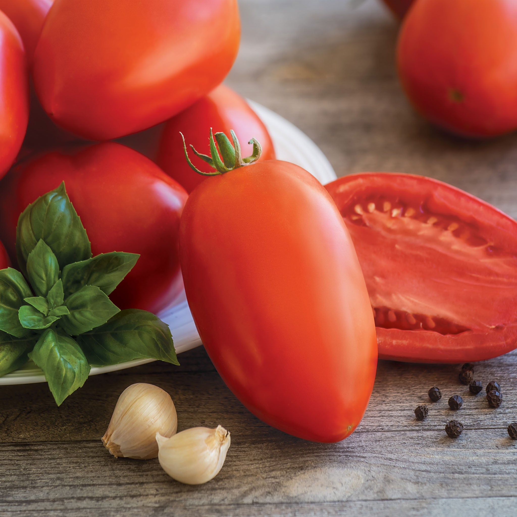 Gladiator Tomato