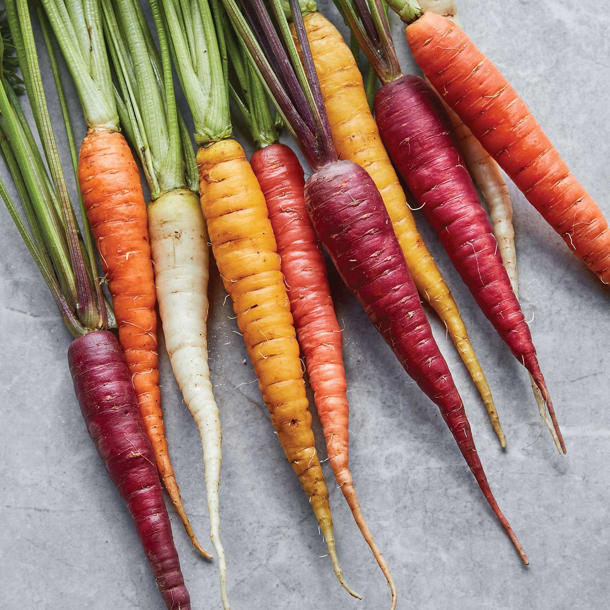Kaleidoscope Blend Carrot