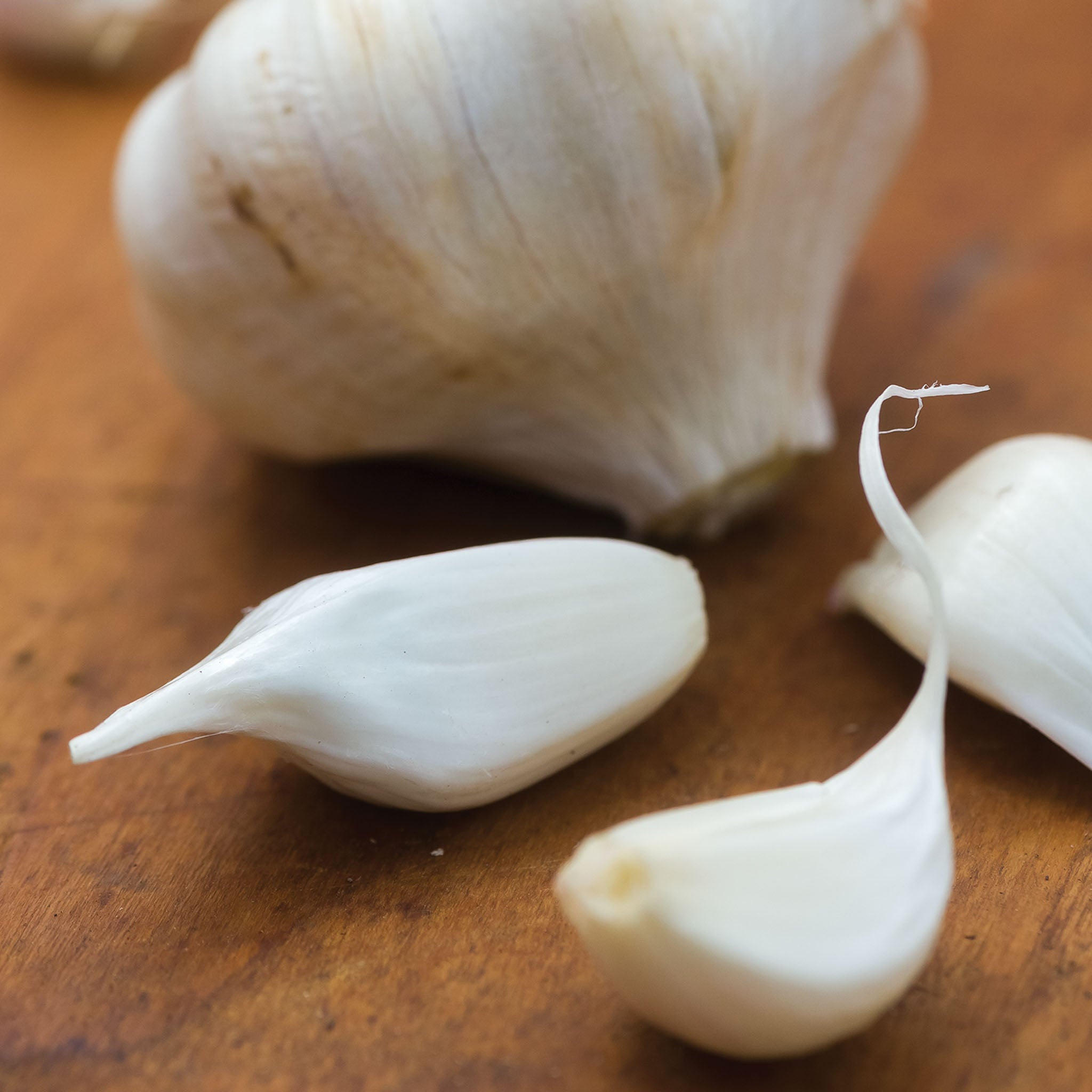 Early Italian Garlic Bulbs