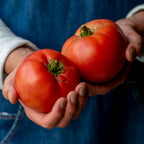 Steak Sandwich Tomato