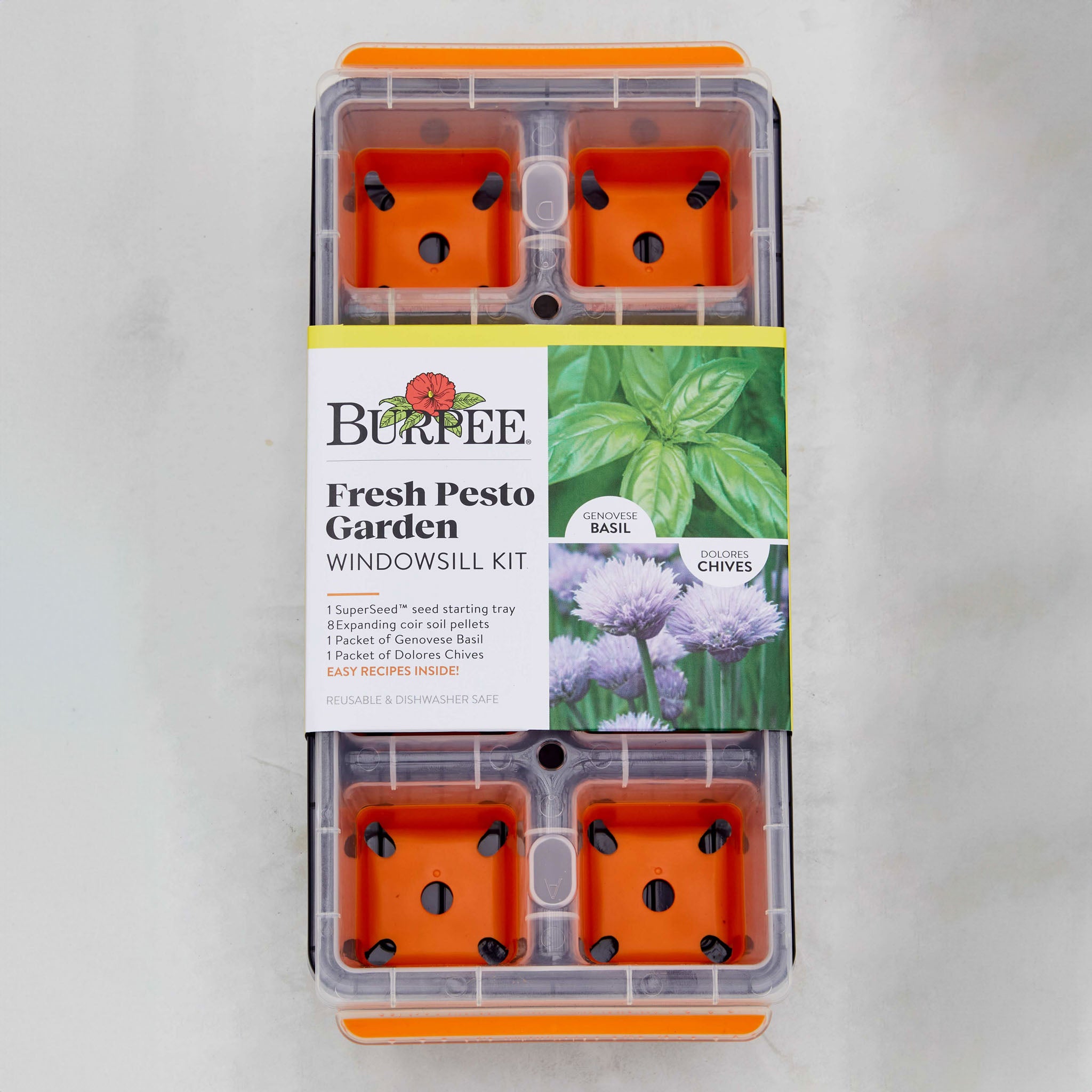 Fresh Pesto Garden Windowsill Herb Kit