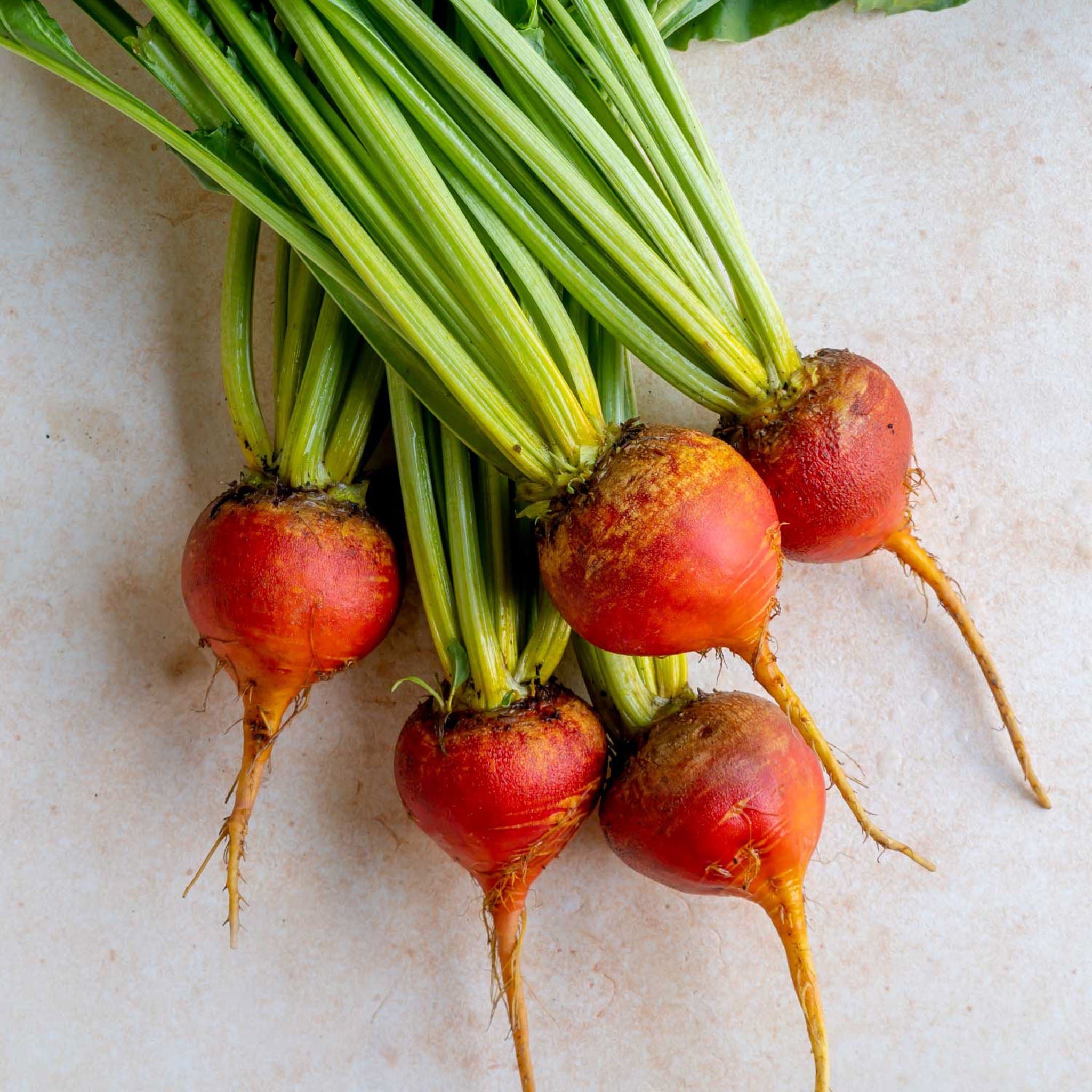 Burpee's Golden Beet