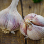 Georgia Crystal Garlic Bulbs