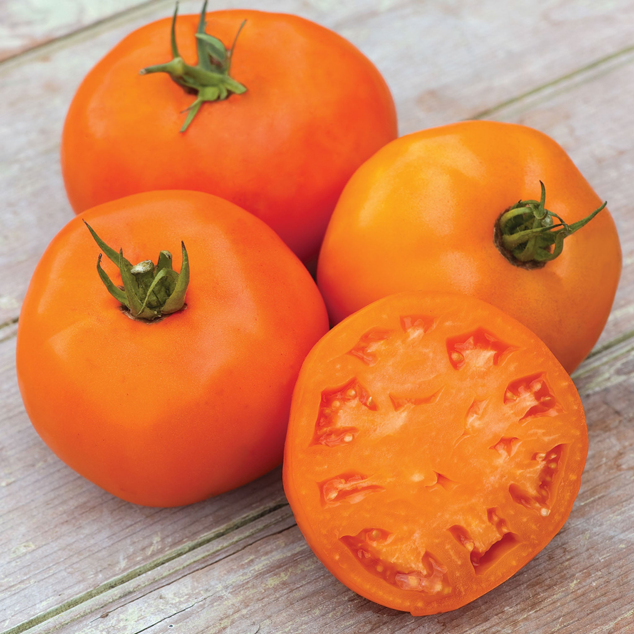 Orange Slice Tomato