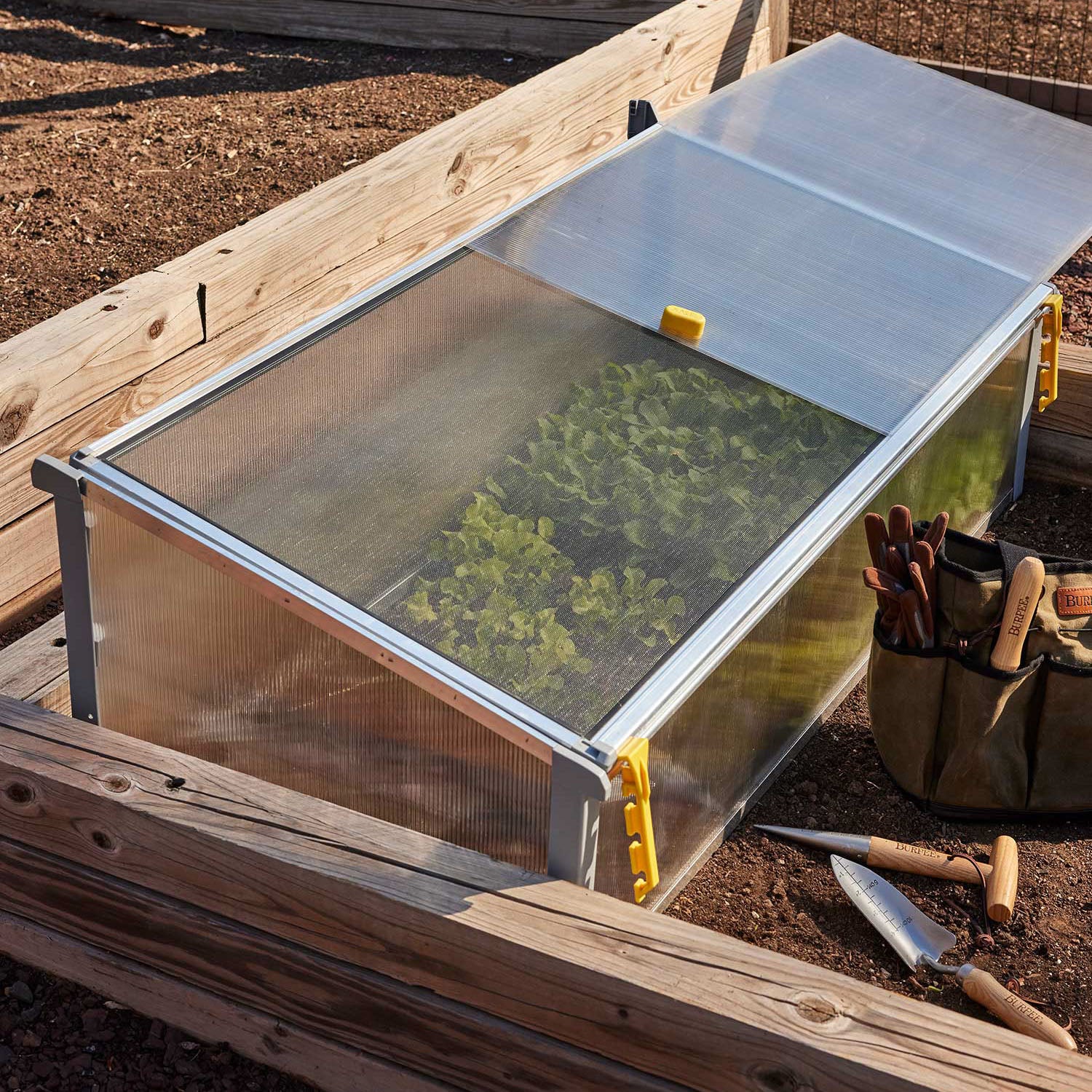 Year-Round Cold-Frame