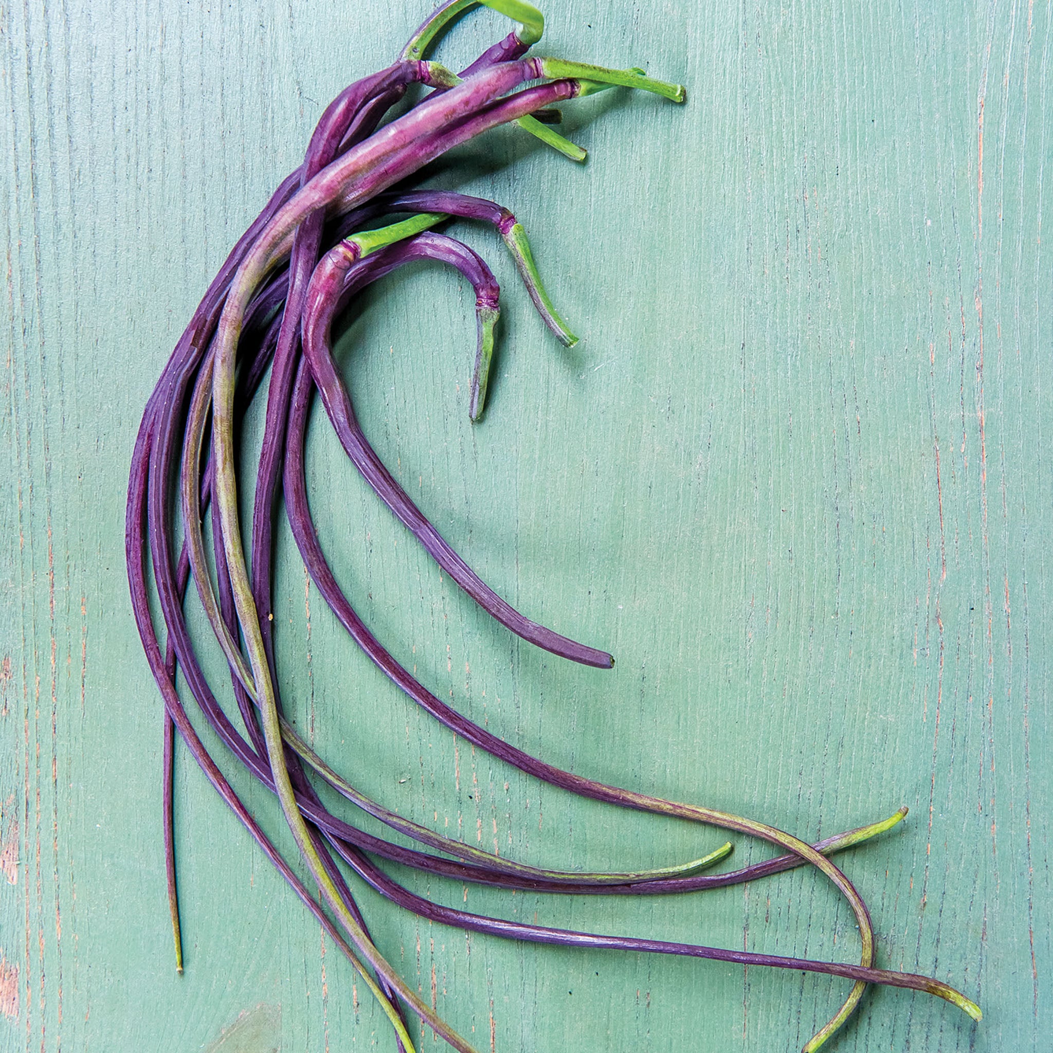 Dragons Tail Radish