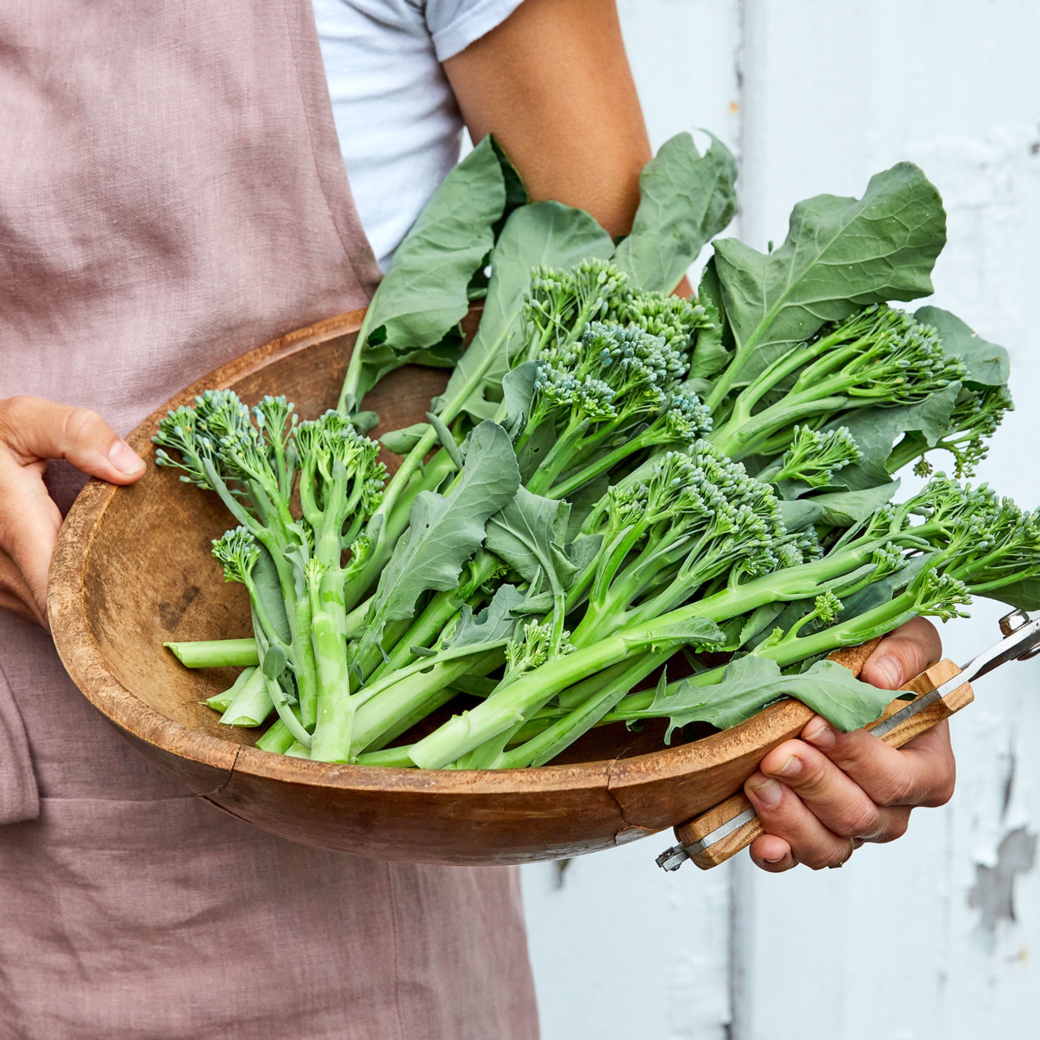 ButterStem Sprouting Broccoli