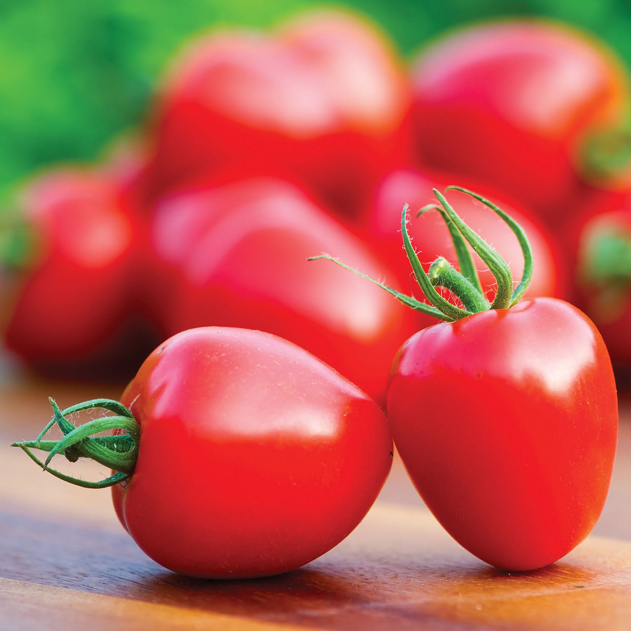 Tomatoberry Garden Tomato