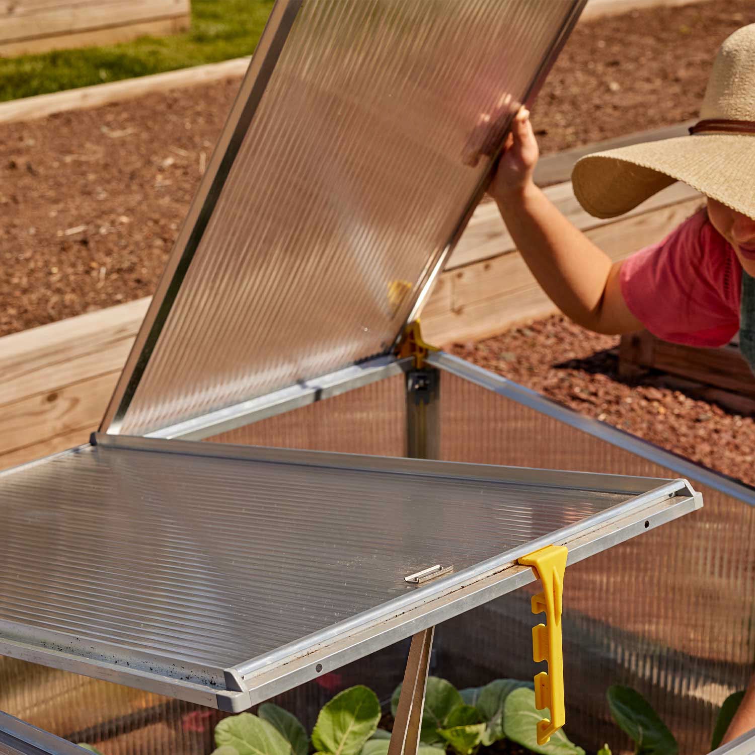 Bio-Star 1500 Premium Cold Frame