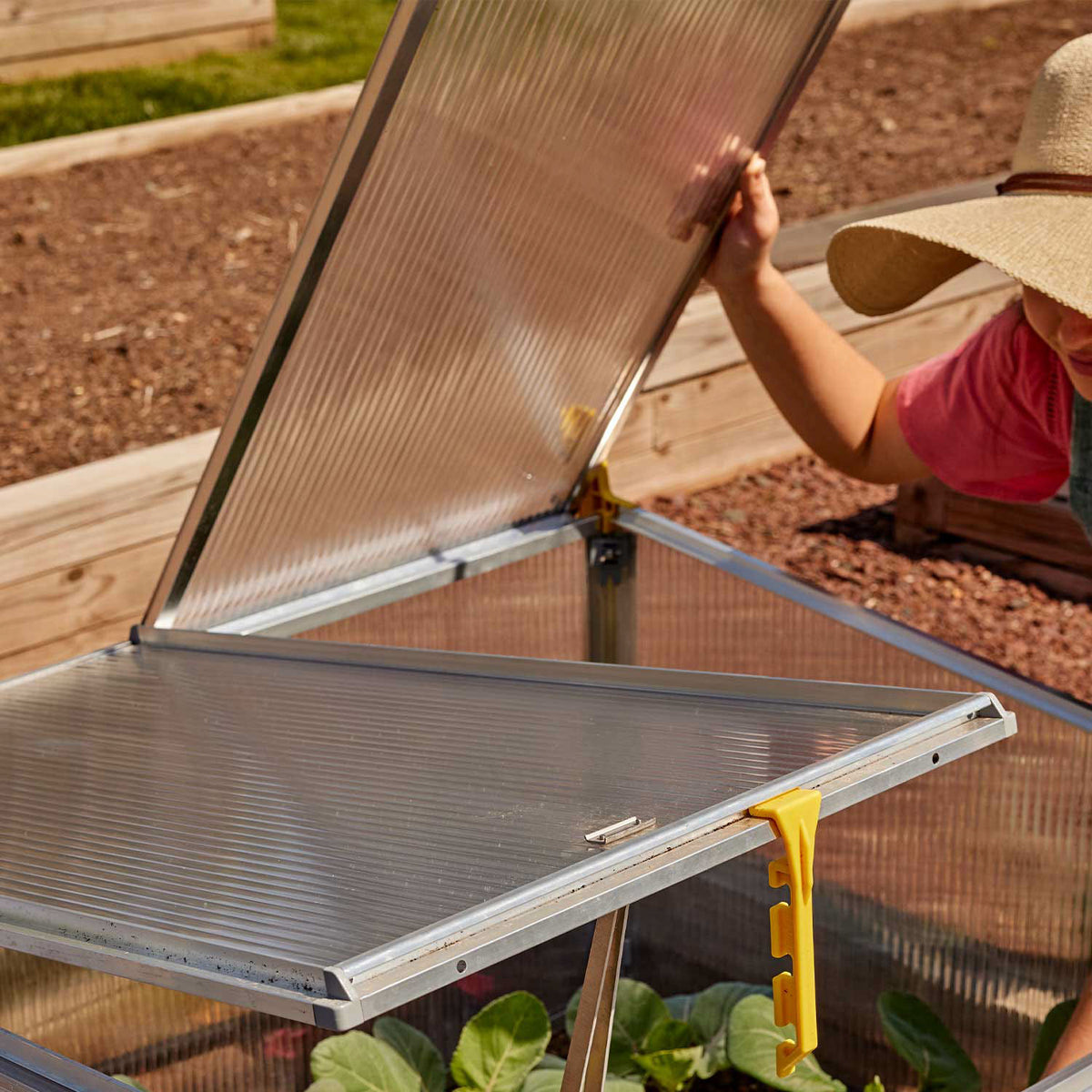 Bio-Star 1500 Premium Cold Frame