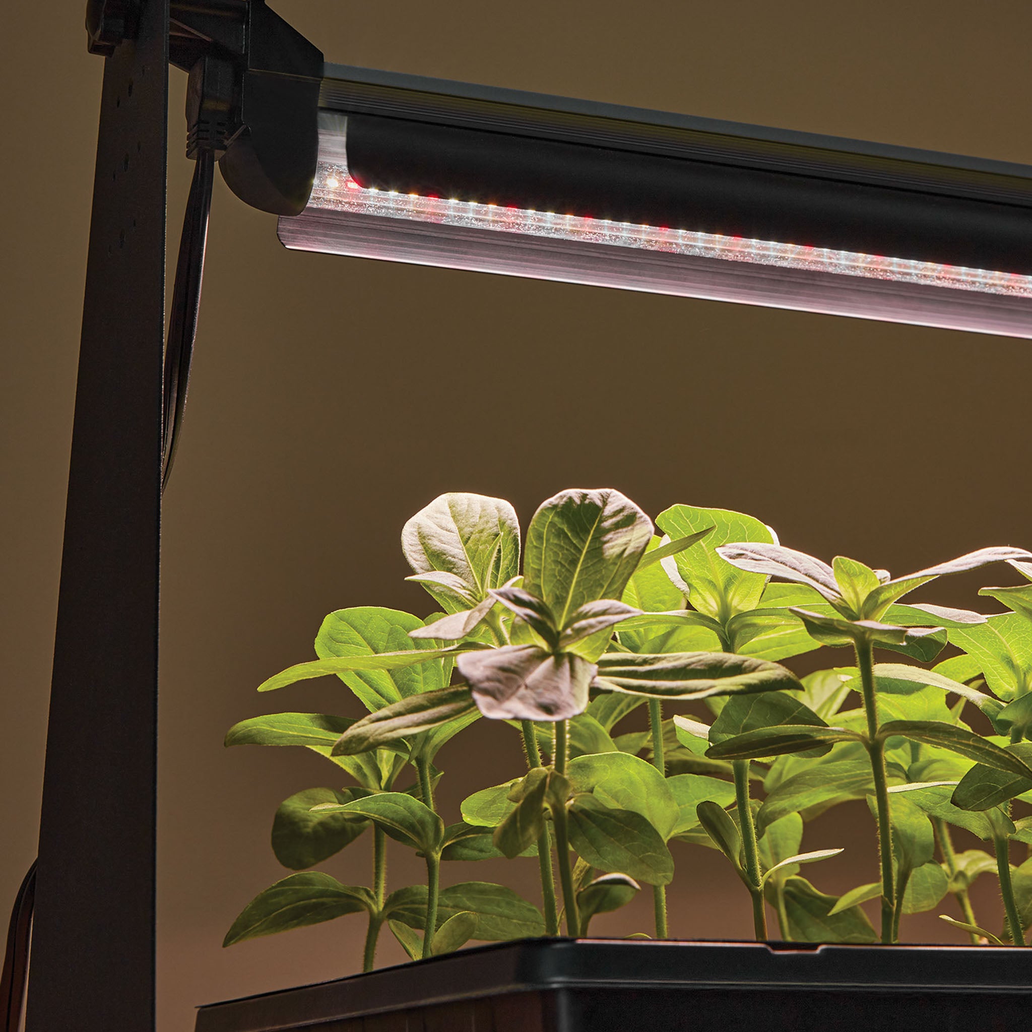 Dynamo LED Grow Light
