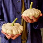 Snowburst Squash