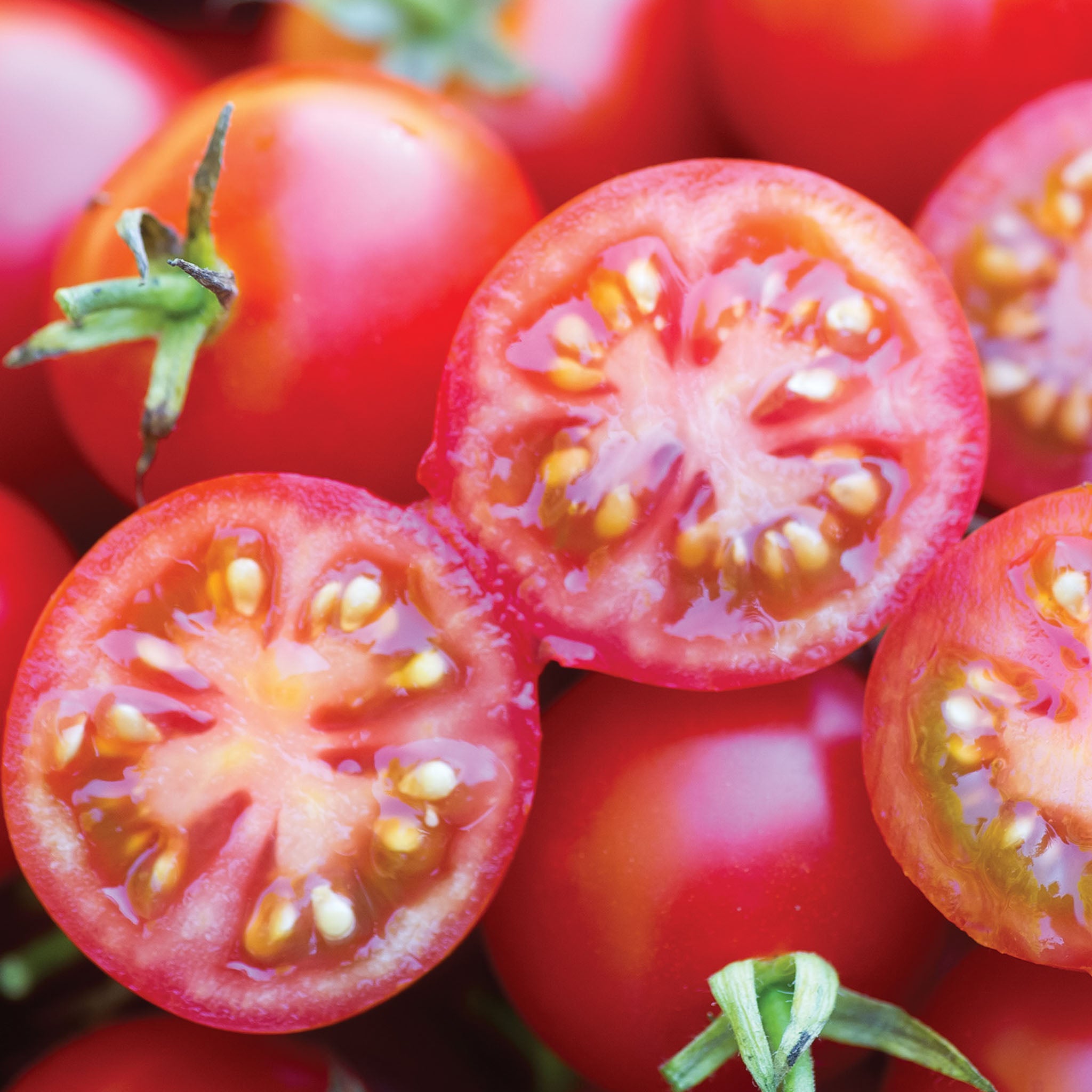 Baby Boomer Tomato