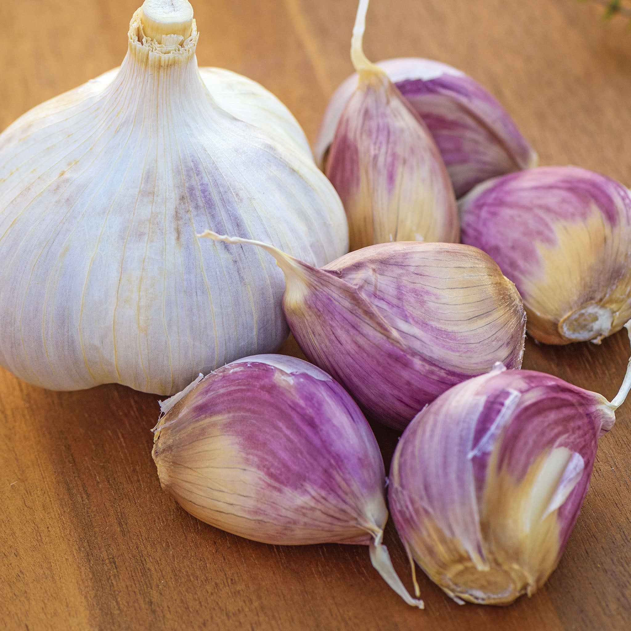 Music Garlic Bulbs