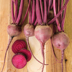 Merlin Beet