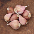 Metechi Garlic Bulbs