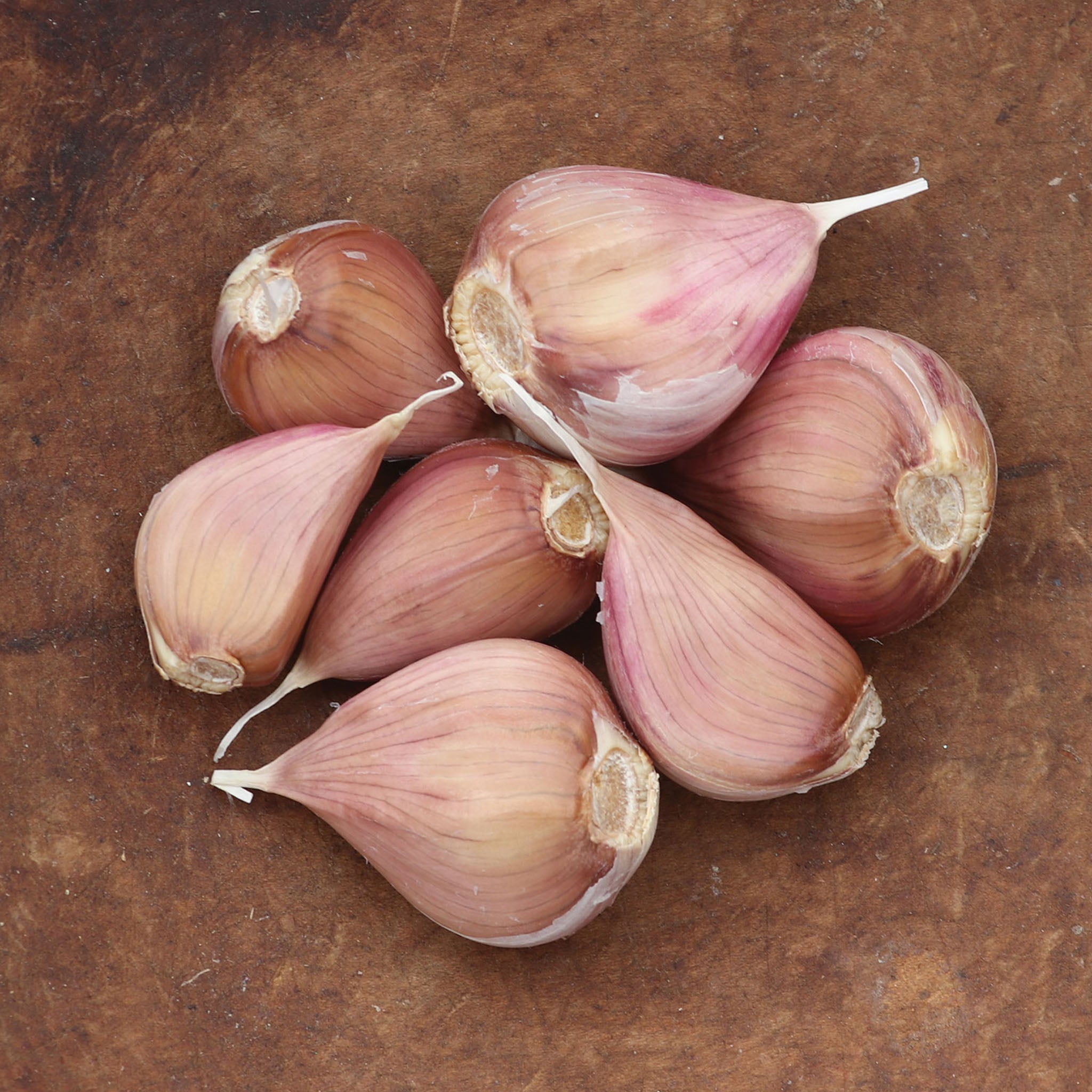 Metechi Garlic Bulbs