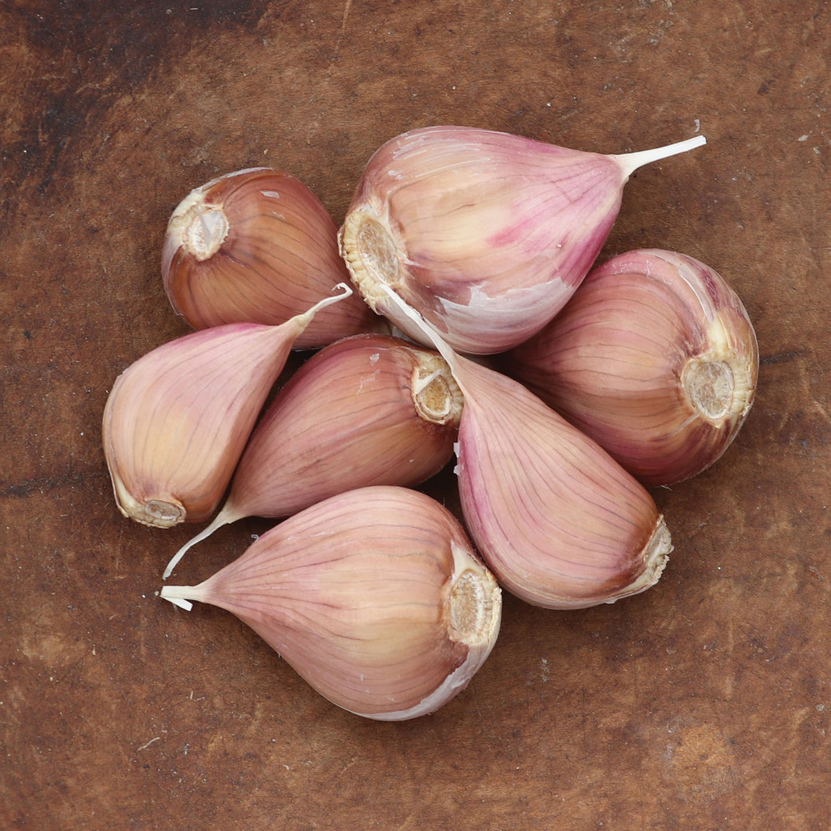 Metechi Garlic Bulbs