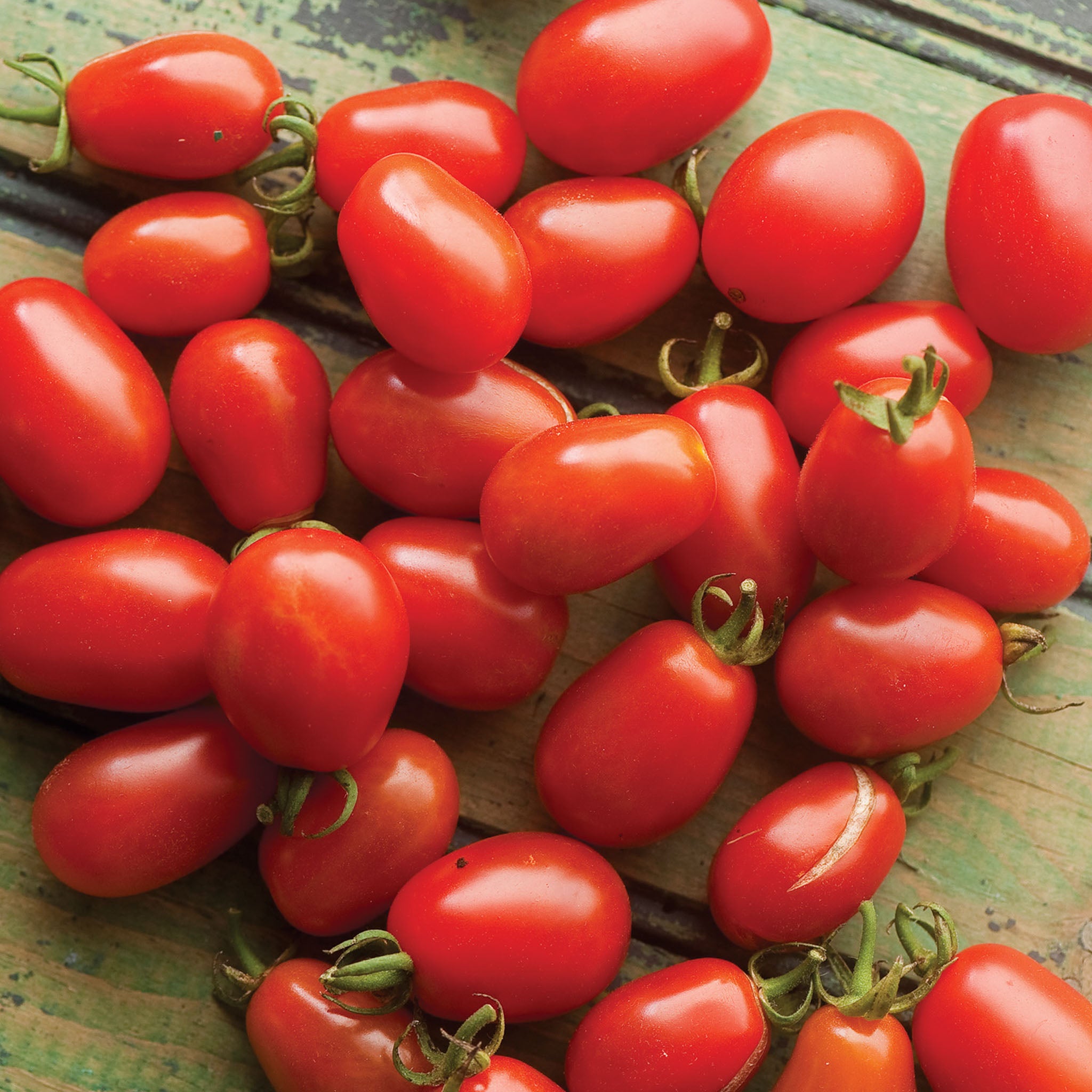 Cherry Roma Tomato