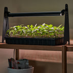 Dynamo LED Grow Light