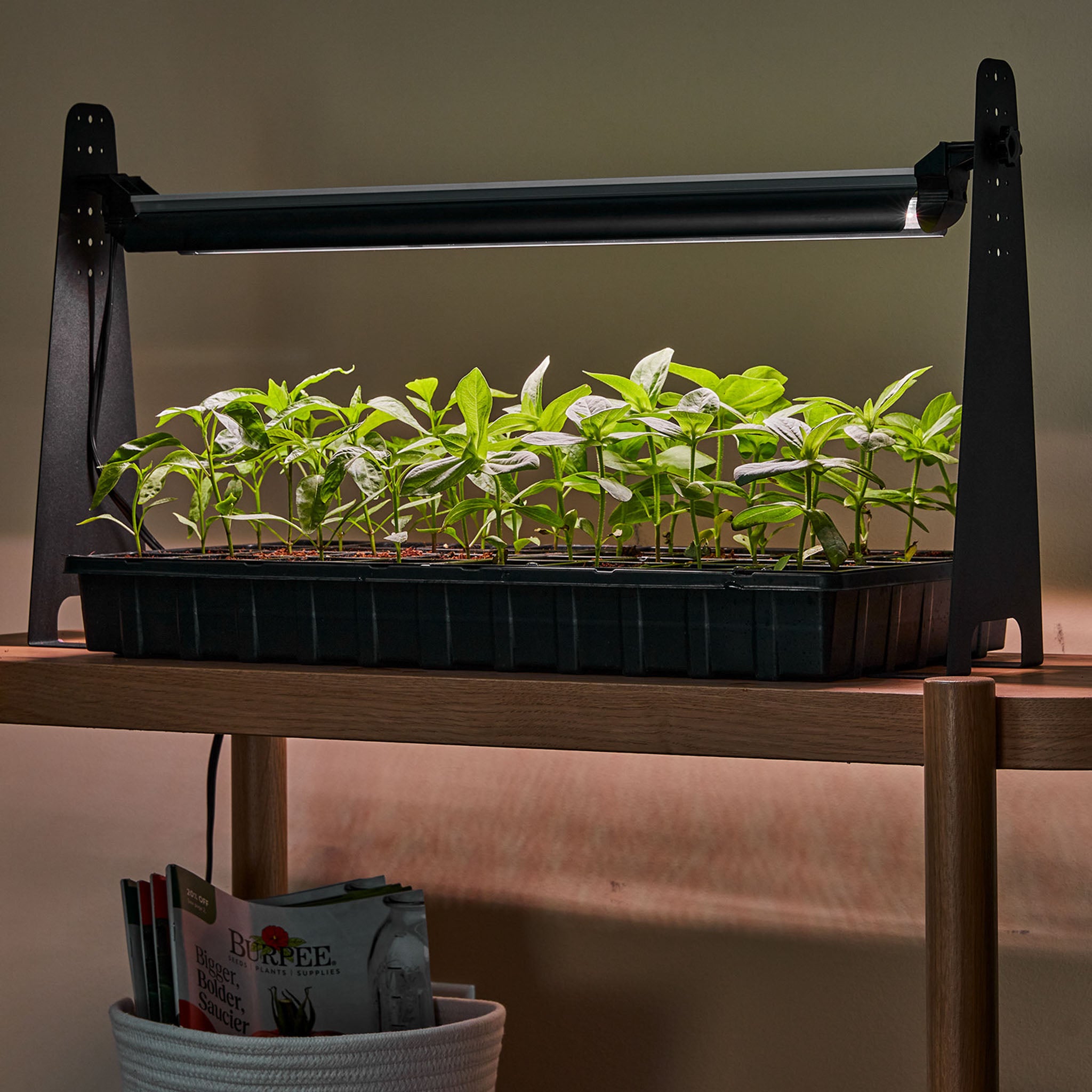Dynamo LED Grow Light