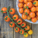 Honeycomb Tomato